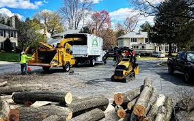  Dexter, GA Tree Services Pros